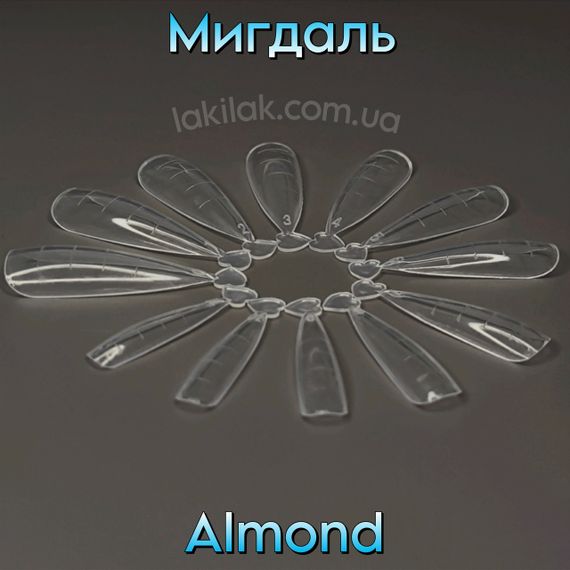 Верхні форми №5 мигдаль (набір 120шт) в органайзері | Зображення 1