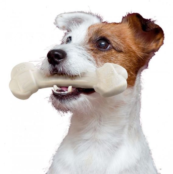 Жувальні іграшки для собак Ferplast NATURAL CHICKEN BONE XS | Зображення 2