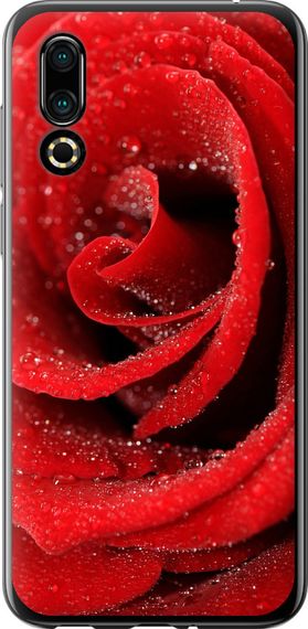 Чехол на Meizu 16S Красная роза "529u-1701-17620"