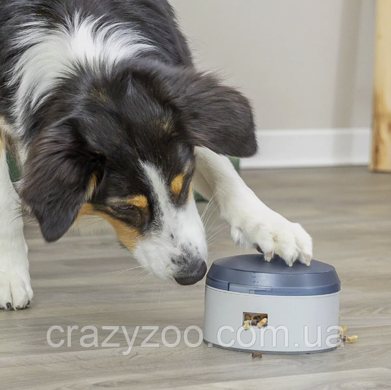 Інтерактивна іграшка-годівниця для собак Trixie Dog Activity Buzzer 14x9.5 см TX-32055 | Зображення 1