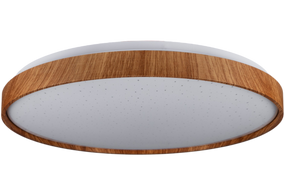 FOREST зоряне небо 80W 480*65мм 3000К-6500К з ДК тік