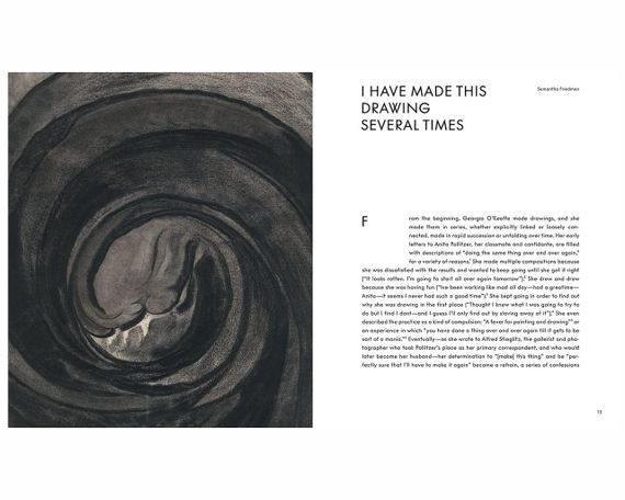 Книга про мистецтво та художників, творчість Джорджія О'Кіфф. Georgia O’Keeffe: To See Takes Time | Зображення 6