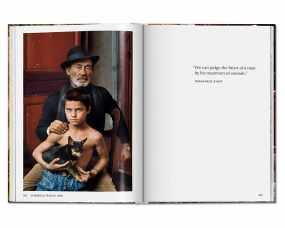 Лучшие фотографы мира подарочная книга по фотографии Стив Маккарри. Steve McCurry. Animals | Зображення 1