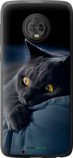 Чохол на Motorola Moto G6 Димчастий кіт "825u-982-2448"