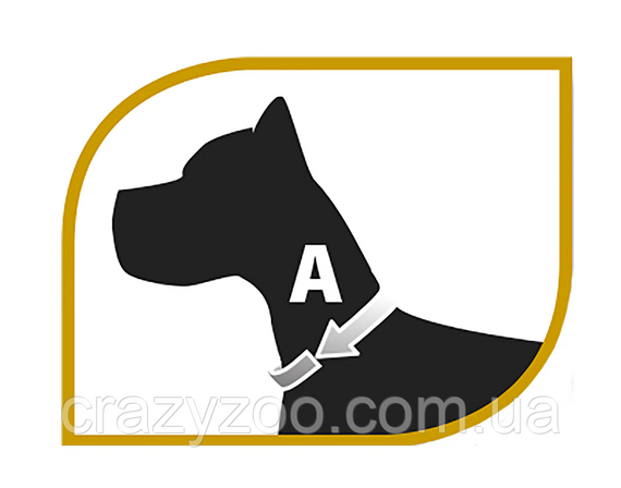 Ошейник-удавка для собак Ferplast Chrome CSS 5516 металлический 28-38 см 75750903 | Зображення 1