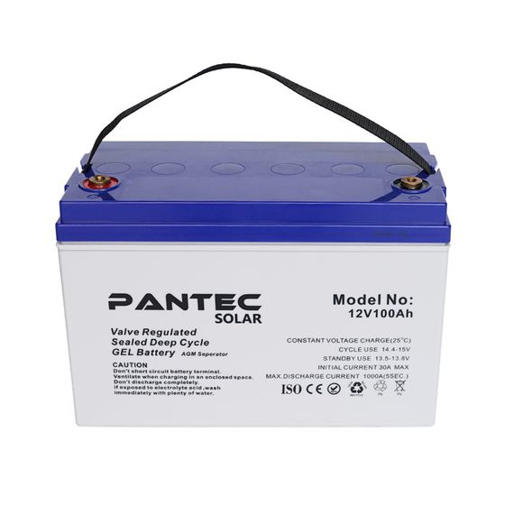 Акумуляторна батарея PANTEC  100-12 GEL 12V 100 Ah (330 x 173 x 218), 30.4 kg Grey Q1/48 | Зображення 1