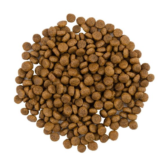 Корм сухий Savory Adult Cat Gourmand Fresh Turkey and Duck для котів-гурманів зі свіжою індичкою та качкою 8 кг | Зображення 1