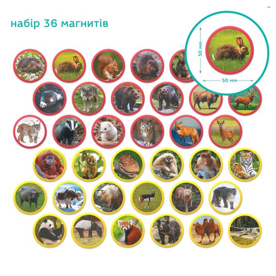Дитячий магнітний набір Монтесорі "Тварини на континентах: Євразія" 200285, 36 елементів | Зображення 3
