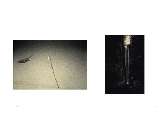 Легендарные фотографы современности книга фотографий Масао Ямамото Masao Yamamoto: Small Things in Silence | Зображення 3