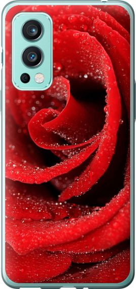 Чехол на OnePlus Nord 2 Красная роза "529u-2468-17620"