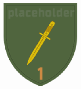 Шеврон 1 штурмовая рота