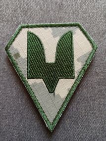 Шеврон ССО (силы специальных операций)