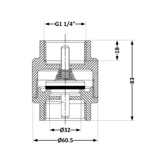 Зворотний клапан Icma з латунним штоком 1 1/4"ВВ №53 | Зображення 1