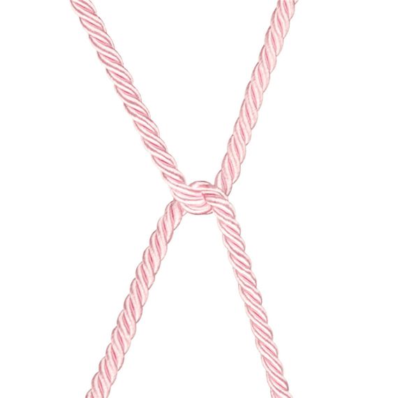 Мотузка - Rebellion Reign Rose Bondage Rope, 10 м | Зображення 6