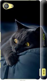 Чохол на Sony Xperia Z5 Compact E5823 Димчастий кіт "825m-322-2448"