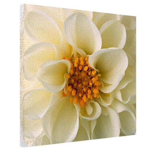 Картина на холсте Белый пион 40x50 см (H5050_TSV013)