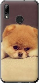 Чехол на Huawei P Smart 2019 Boo 2 "890u-1634-17620"